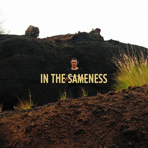 IN THE SAMENESS
