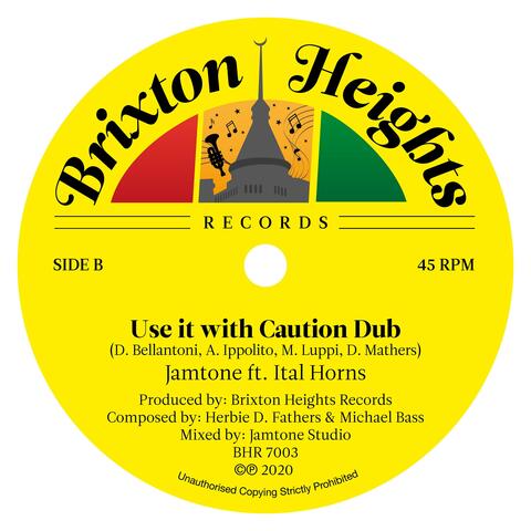 Use it with Caution Dub (feat. Ital Horns)