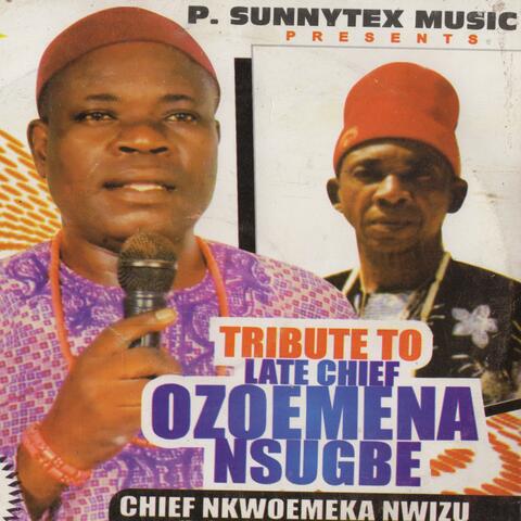 Tribute to Late Chief Ozoemena Nsugbe