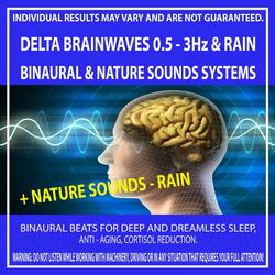 Delta Brainwaves 0.5 - 3Hz & Rain