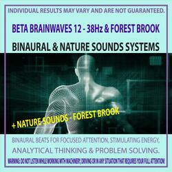 Beta Brainwaves 12 - 38Hz & Forest Brook