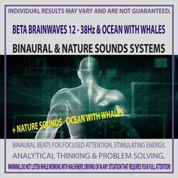 Beta Brainwaves 12 - 38Hz & Ocean with Whales
