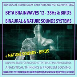 Beta Brainwaves 12 - 38Hz & Birds