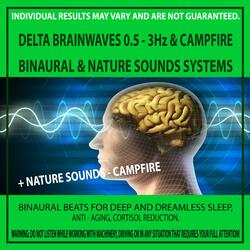 Delta Brainwaves 0.5 - 3Hz & Campfire