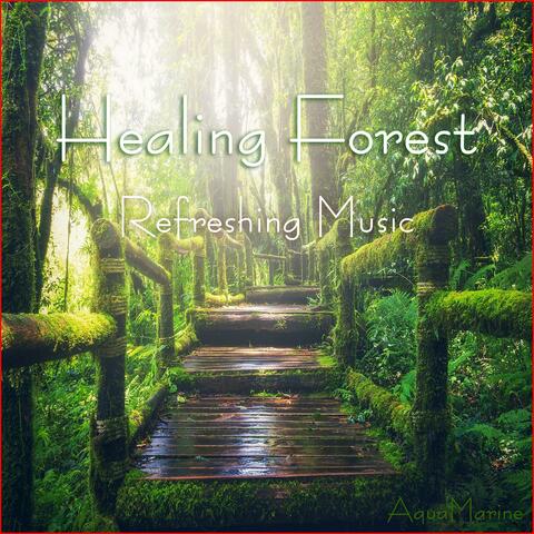 Healing Forest (Refreshing Music)