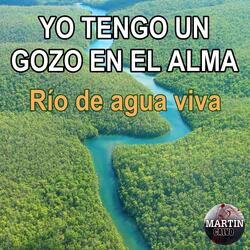 Yo tengo un gozo en el alma