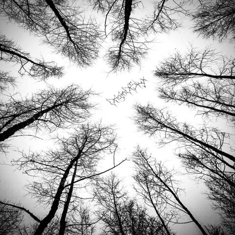 Introversion/Introspection