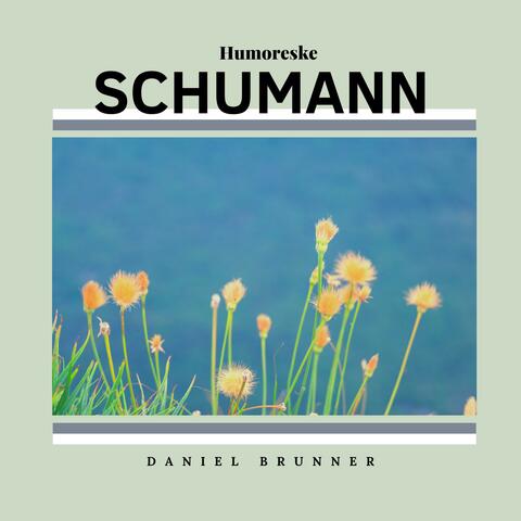 Schumann: Humoreske in Bb Major Op. 20