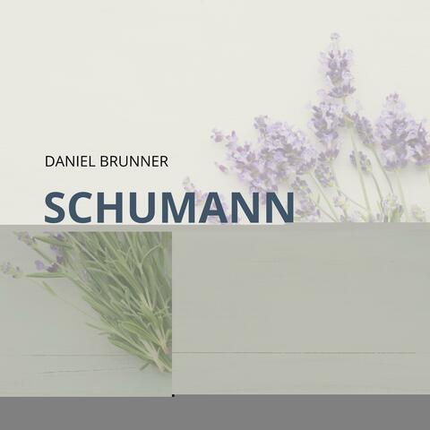 Schumann: Waldszenen op.82