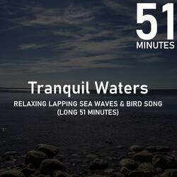 Relaxing Lapping Sea Waves & Bird Song (51 Minutes)