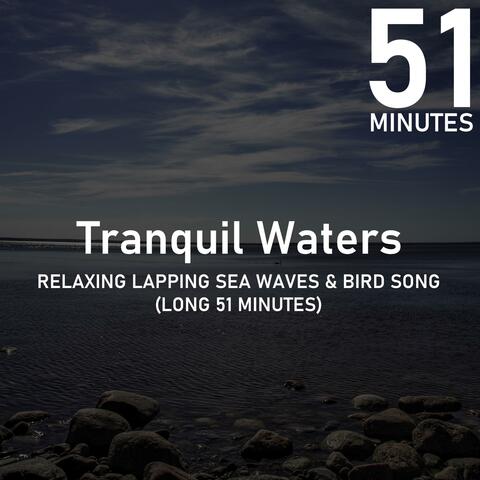 Relaxing Lapping Sea Waves & Bird Song (51 Minutes)