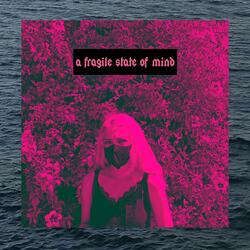 a fragile state of mind