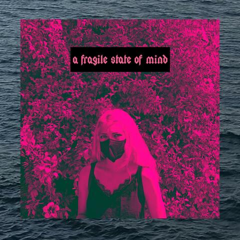 a fragile state of mind