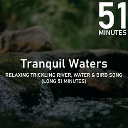 Relaxing Trickling River Water & Bird Song (Long 51 Minutes)