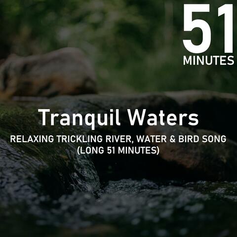 Relaxing Trickling River Water & Bird Song (Long 51 Minutes)