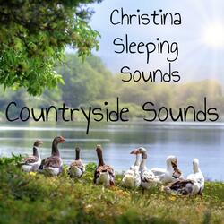 Relaxing Dog and Canary Sounds - Countryside Sounds