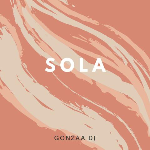 SOLAX