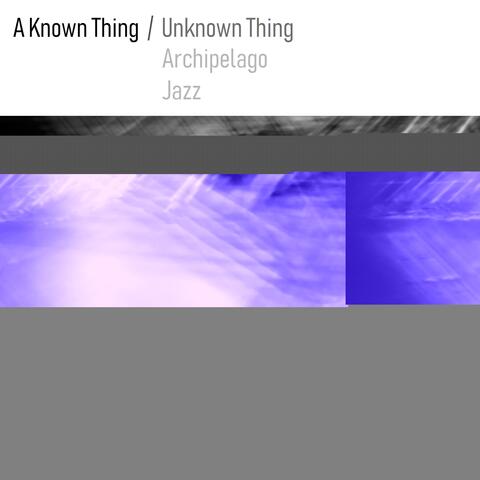 A Known Thing / Unknown Thing II