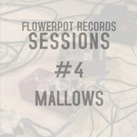 Flowerpot Records Sessions #3: Mallows
