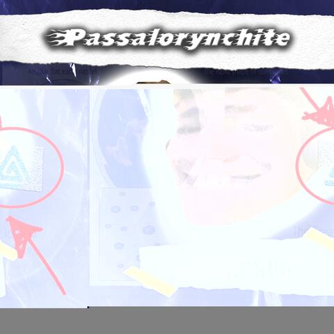 Passalorynchite (Deluxe)