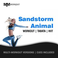 Sandstorm Animal (Workout Mix)