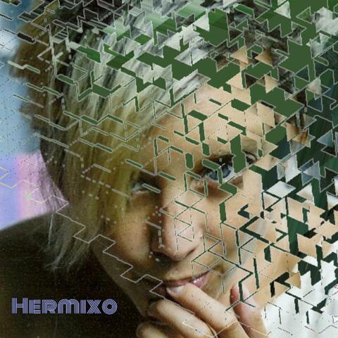 Hermixo (Hermoso Remix)
