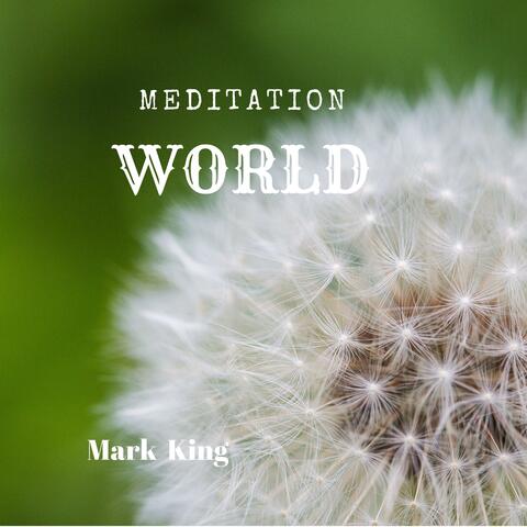 Meditation World