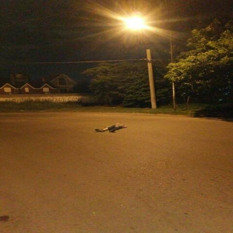 Calenta la Calentura