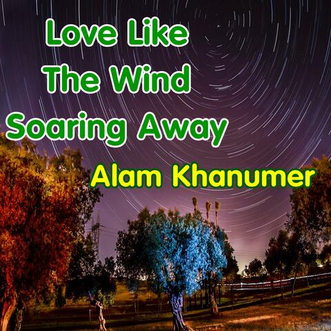 Love Like The Wind Soaring Away