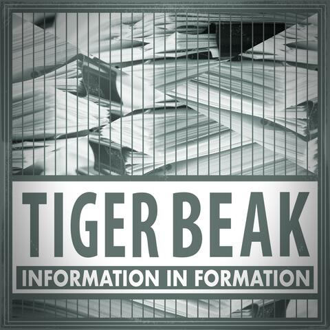 Information In Formation