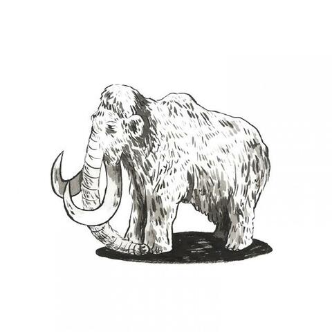 Woolly Mammoth