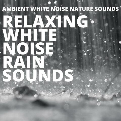 Relaxing White Noise Rain Sounds