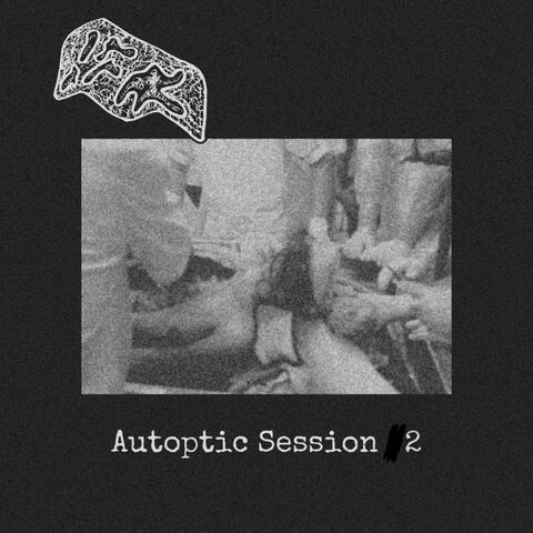Autoptic Session 2