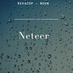 Neteer