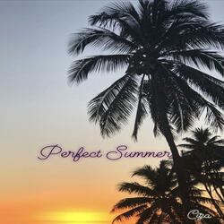 Warm Summer Walks