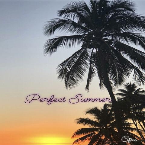 Perfect Summers