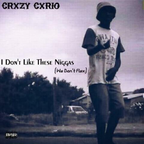 I Don't Like These Niggas (We Don't Flex)