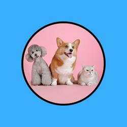 Pet Wellness