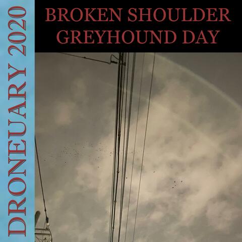 Greyhound Day
