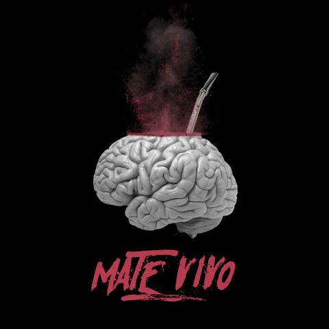 Mate Vivo