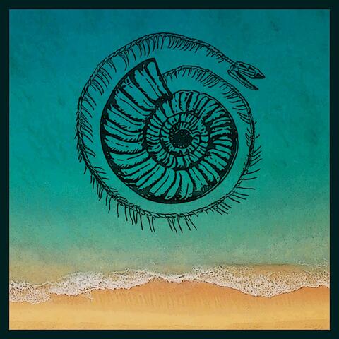 CONDITIONAL LOVE & Beachcomber Blues
