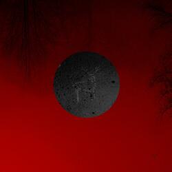 Miąższość Drzewa Leżącego