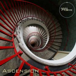 A Scattering of Assemblages