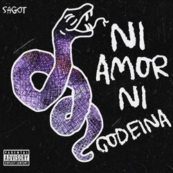 Ni Amor Ni Codeína