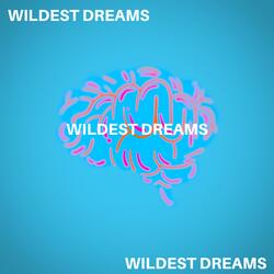 Wildest Dreams