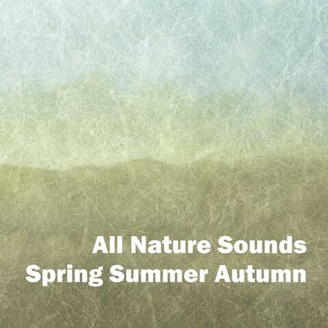 Spring Summer Autumn