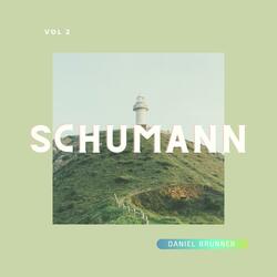 Abegg Variations Op. 1: Thema (Animato)