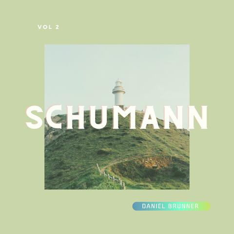 Schumann: Famous Works for Piano Vol. 2