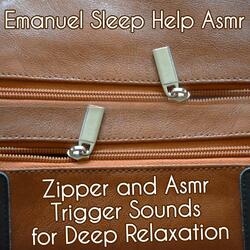 Coin Wallet Zipper Sounds