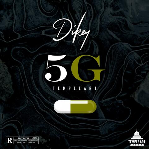 5G